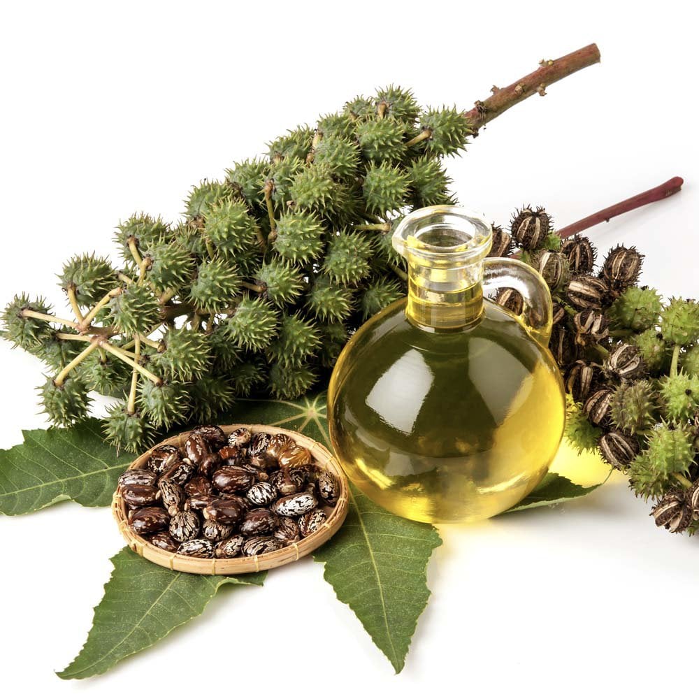 Biovene Castor Oil 30ml - Image 6
